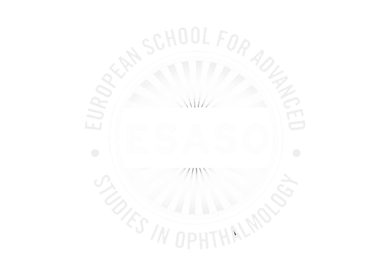 Centro de becas de la Escuela Europea de Estudios Avanzados en Oftalmología (ESASO) para enfermedades de la retina